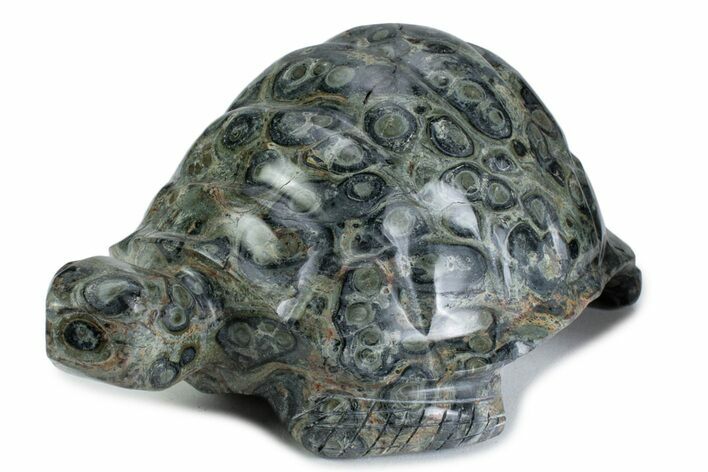 Polished Kambaba Jasper Tortoise - Madagascar #378836